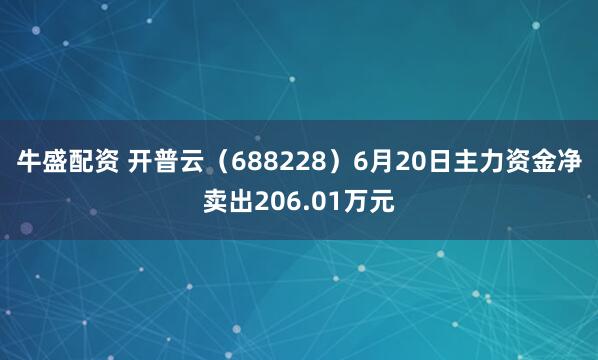牛盛配资 开普云（688228）6月20日主力资金净卖出206.01万元